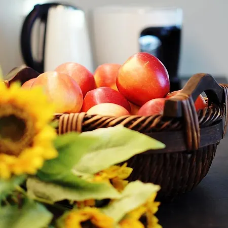 423 W Pieciogwiazdkowym Royal Tulip 200 M Dobruk *